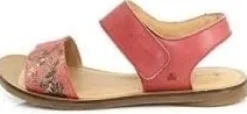 El Naturalista NF30 Tulip